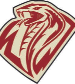Kingston Cobras