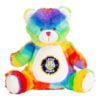 Roses Rainbow Teddy