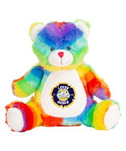 Rainbow Teddy