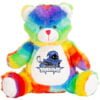 rainbow teddy