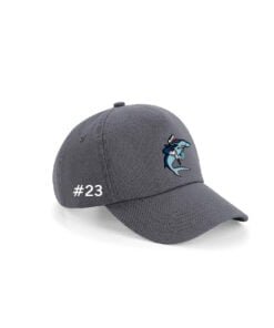 Alternative view of Baseball Cap