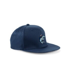 Alternative view of Snapback