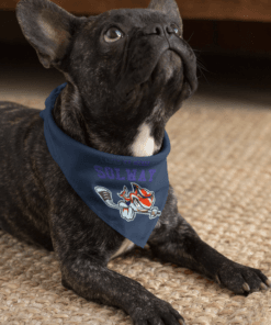 mockup of a small dog wearing a sublimated bandana 33272