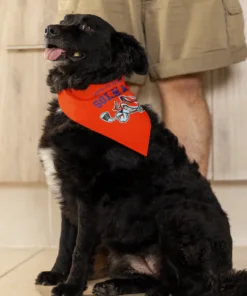 Dog Bandana