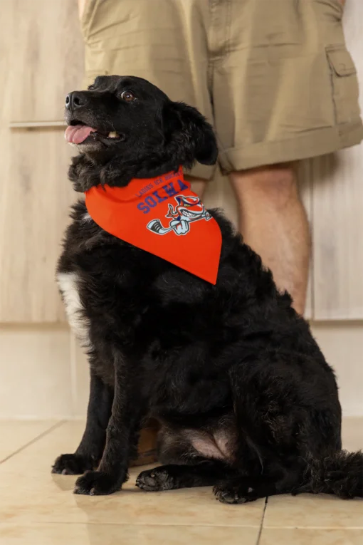 Dog Bandana