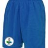 Adults Shorts Royal