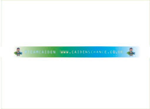 Team Caiden Lanyard