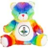 Large Rainbow Bear Teddy