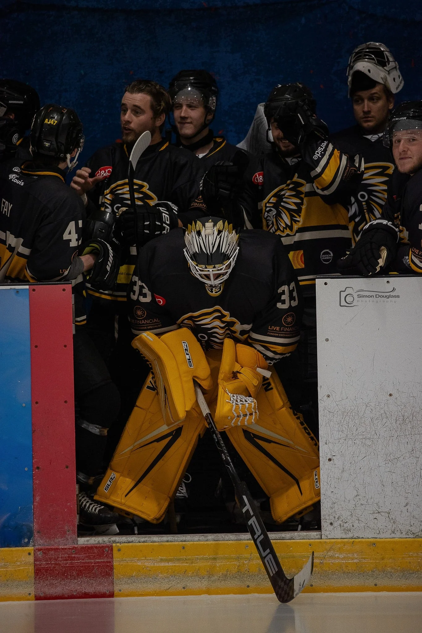 d8ba8e5a 39ba 41d8 b710 31d03802a27c