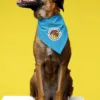 Dog Bandana