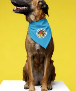 Dog Bandana