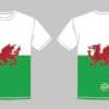 Welsh Flag T-Shirt