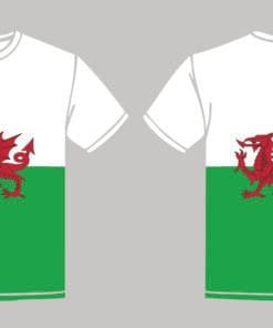 Welsh Flag T-Shirt